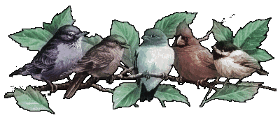 animaux (18).gif